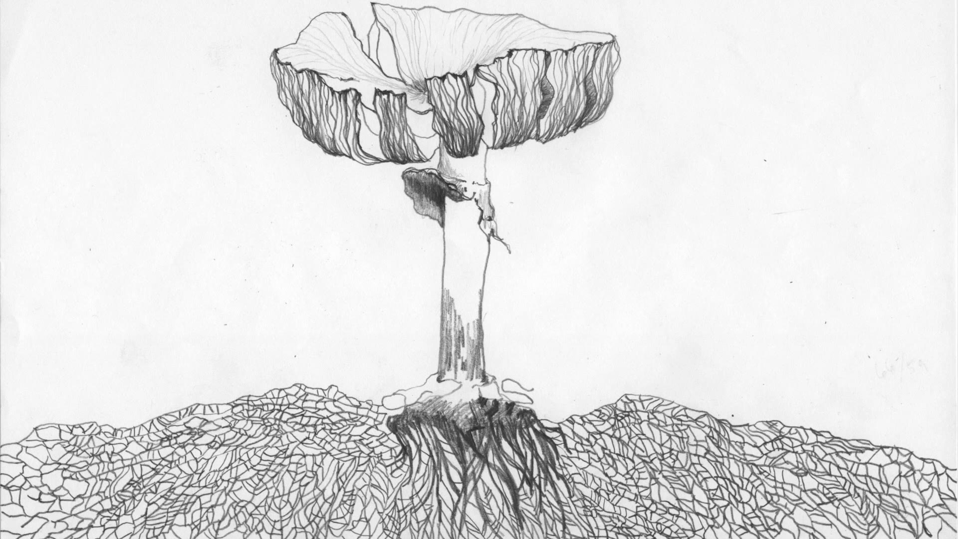 Multimedia Work
