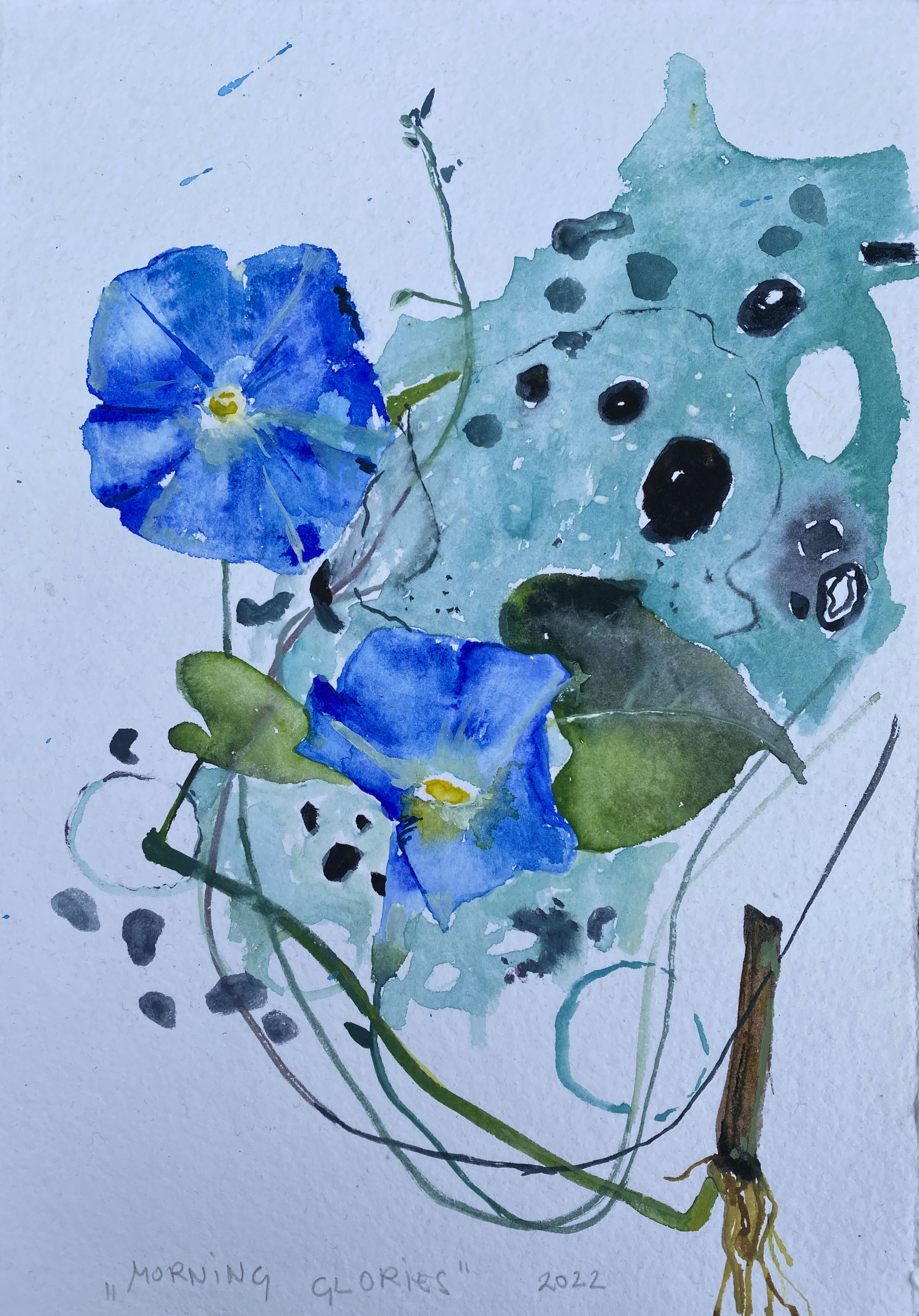 Morning glory-skica, akvarel, A4, 2022