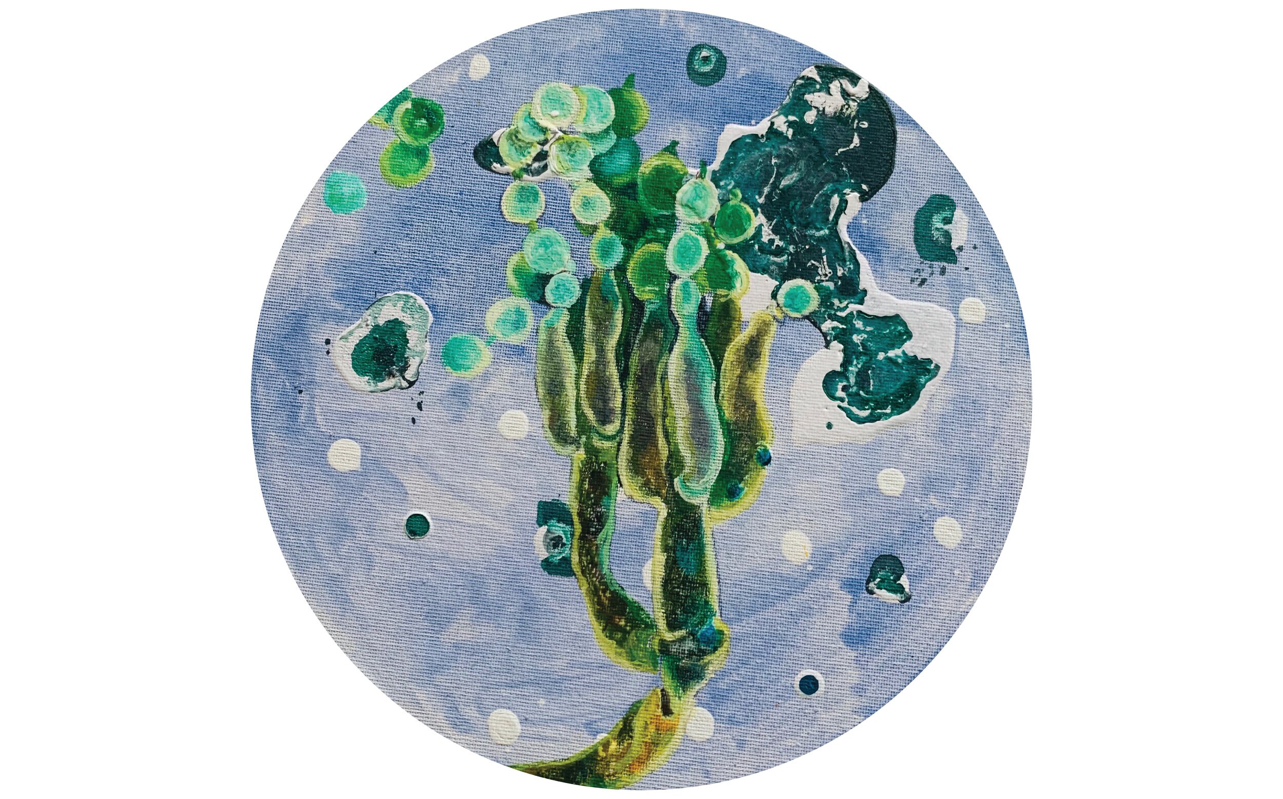 Penicillium