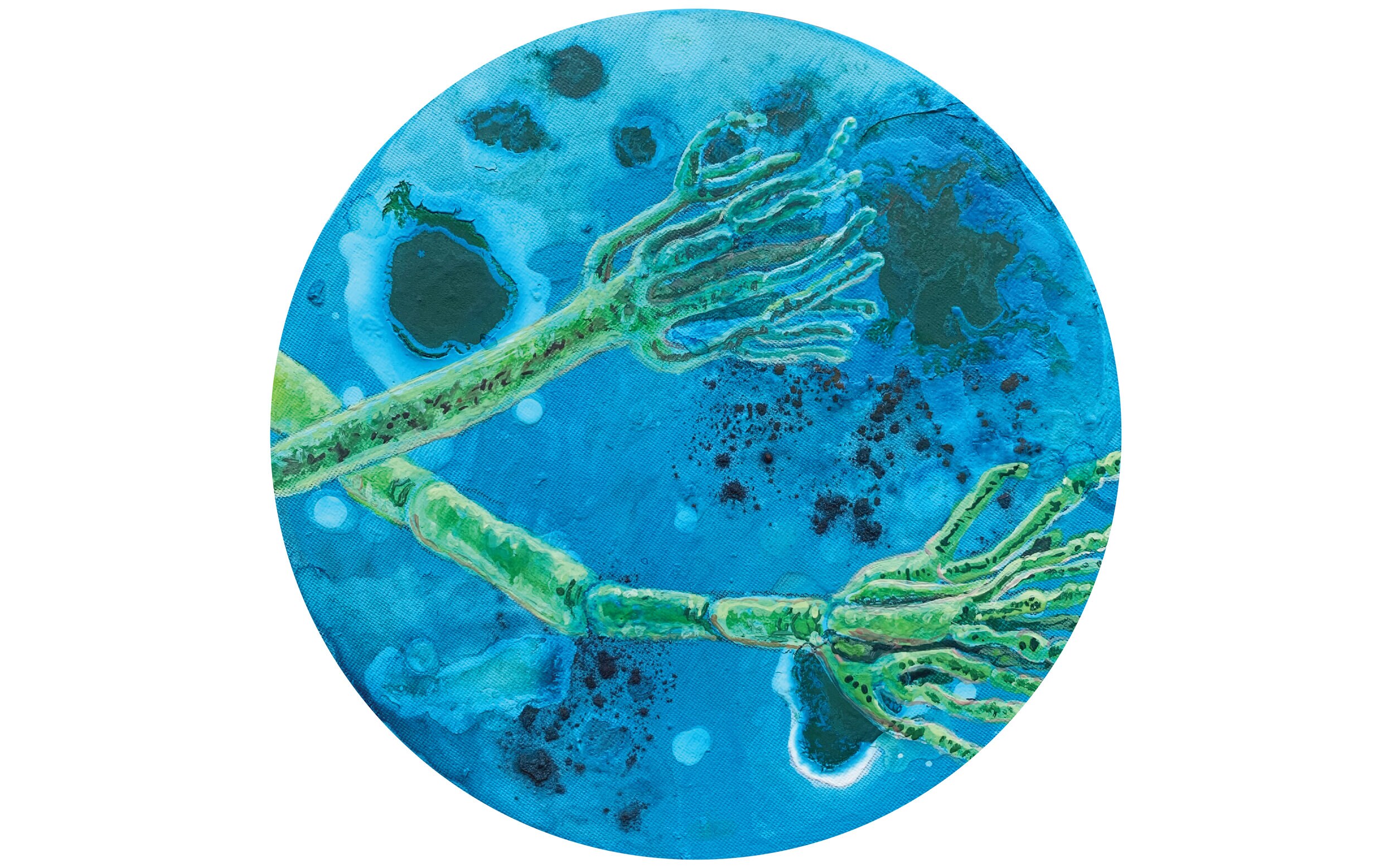 PENICILLIN ROQUEFORTI, dia 20 cm, gvaš in jedilni pigmenti na platno, 2019
