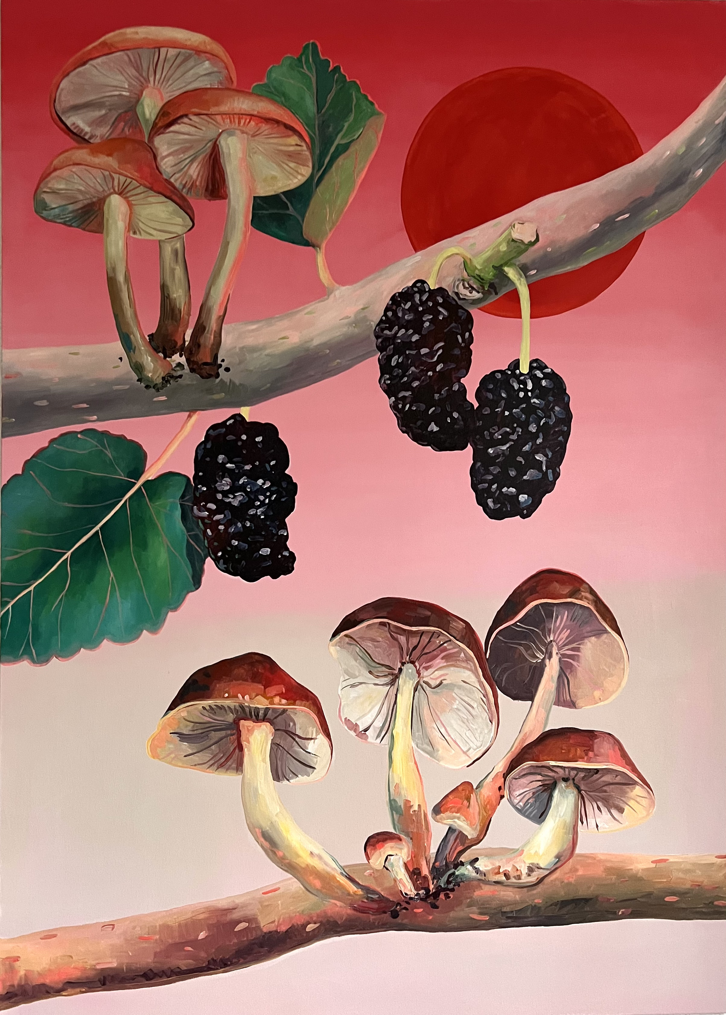 Mushroom; Food of Gods