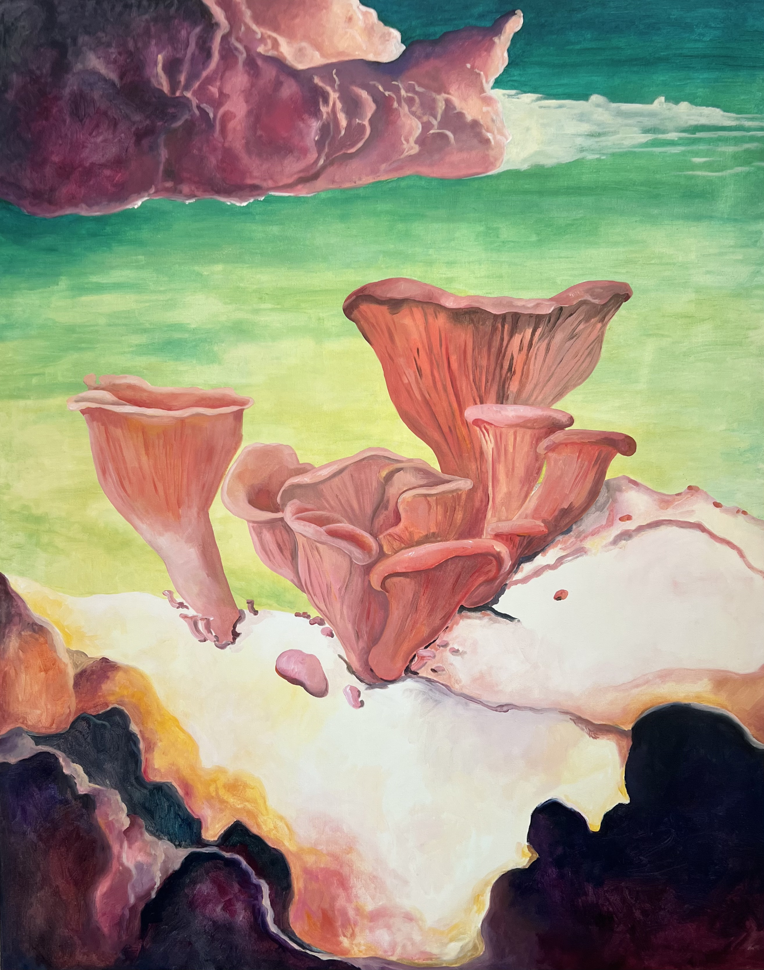 Roza ostrigar, 2025, akril na platno, 130 x 160 cm